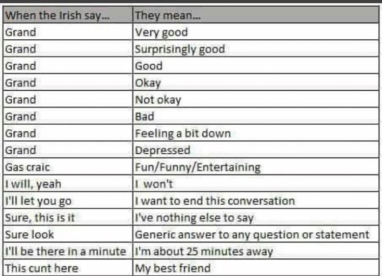 sjanemurf's tweet image. An 🇮🇪 glossary: