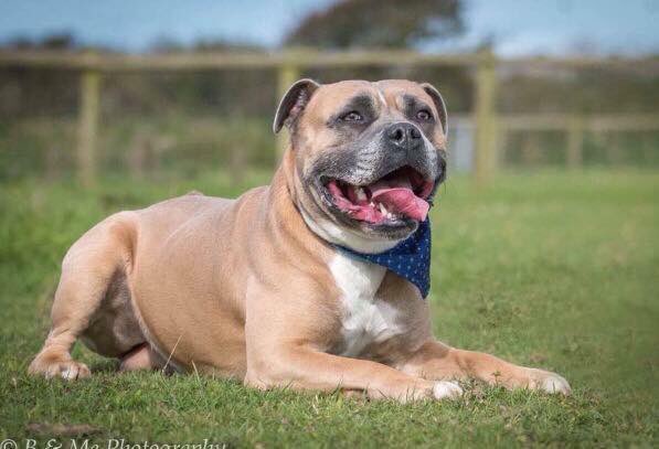 ebook Weaving a Double Cloth: Stories of Asia Pacific Women in Australia