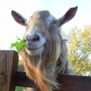 East End Kids 🇺🇦 🇵🇸 tweet media