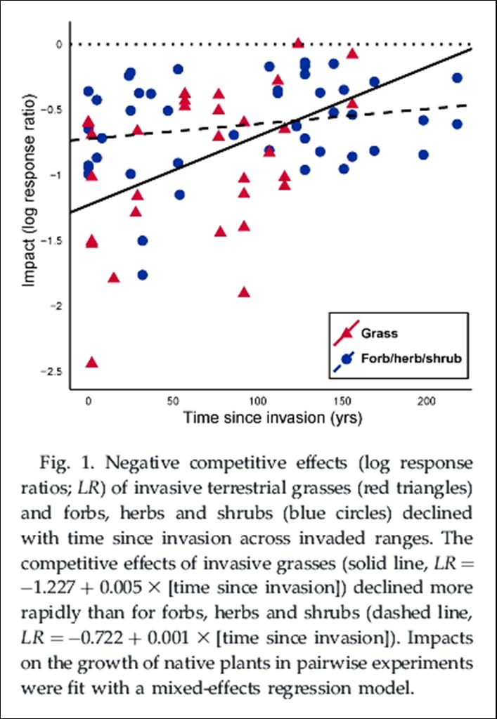 A throwback to 2015: Meta-analysis by Ricciardi Lab alumna  <a href="/Josie_Iac/">Josie Iacarella</a> showing that the negative competitive effects of invasive terrestrial plants decline with time since invasion and at different rates depending on the growth form.
redpath-staff.mcgill.ca/ricciardi/Iaca…