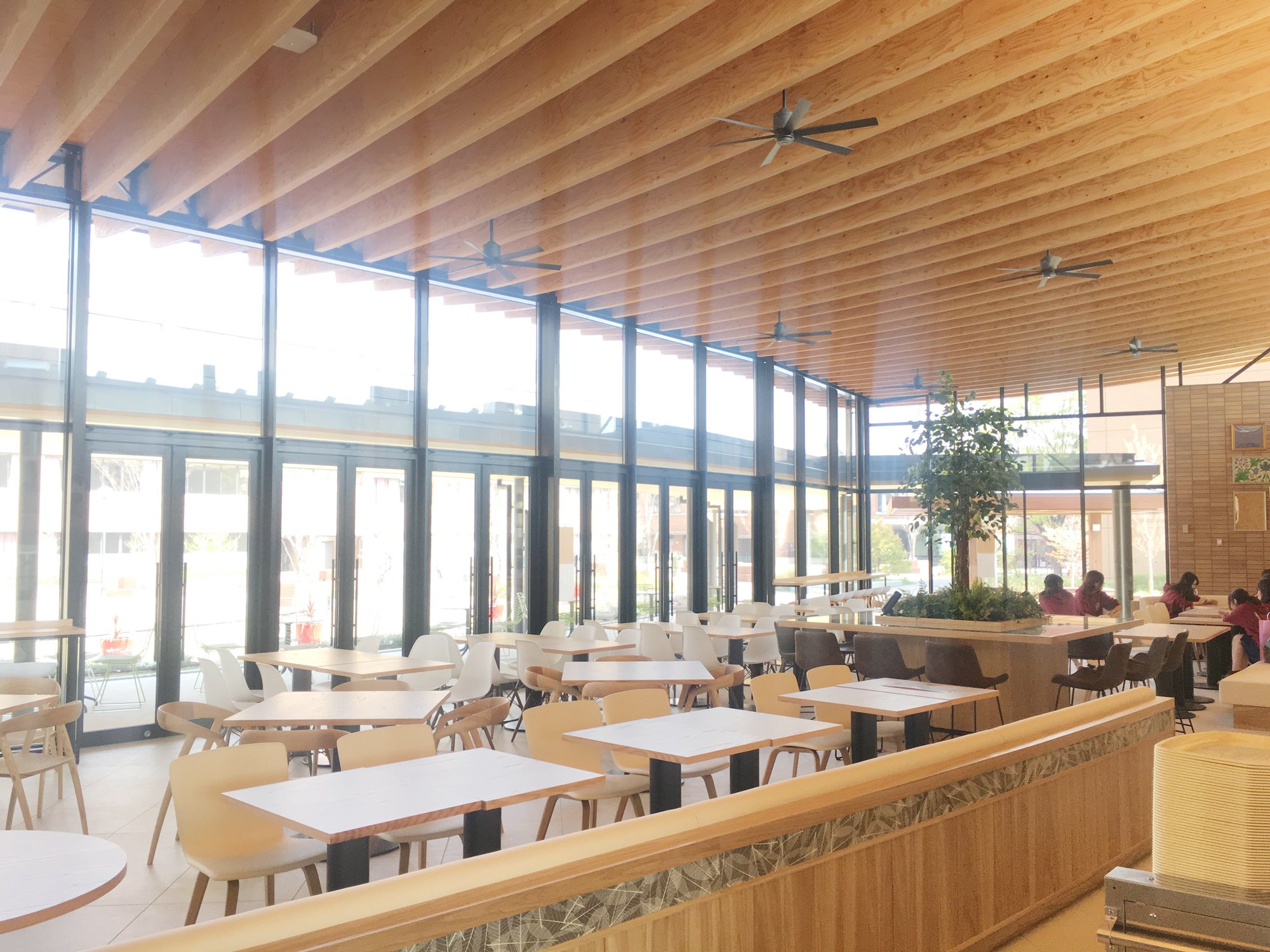 同志社女子大学広報部 完成した食堂棟である恵愛館を写真でご紹介っ その 建物の壁面や屋根にガラスや木材を多く用いることにより 明るく開放的な食堂空間となっています
