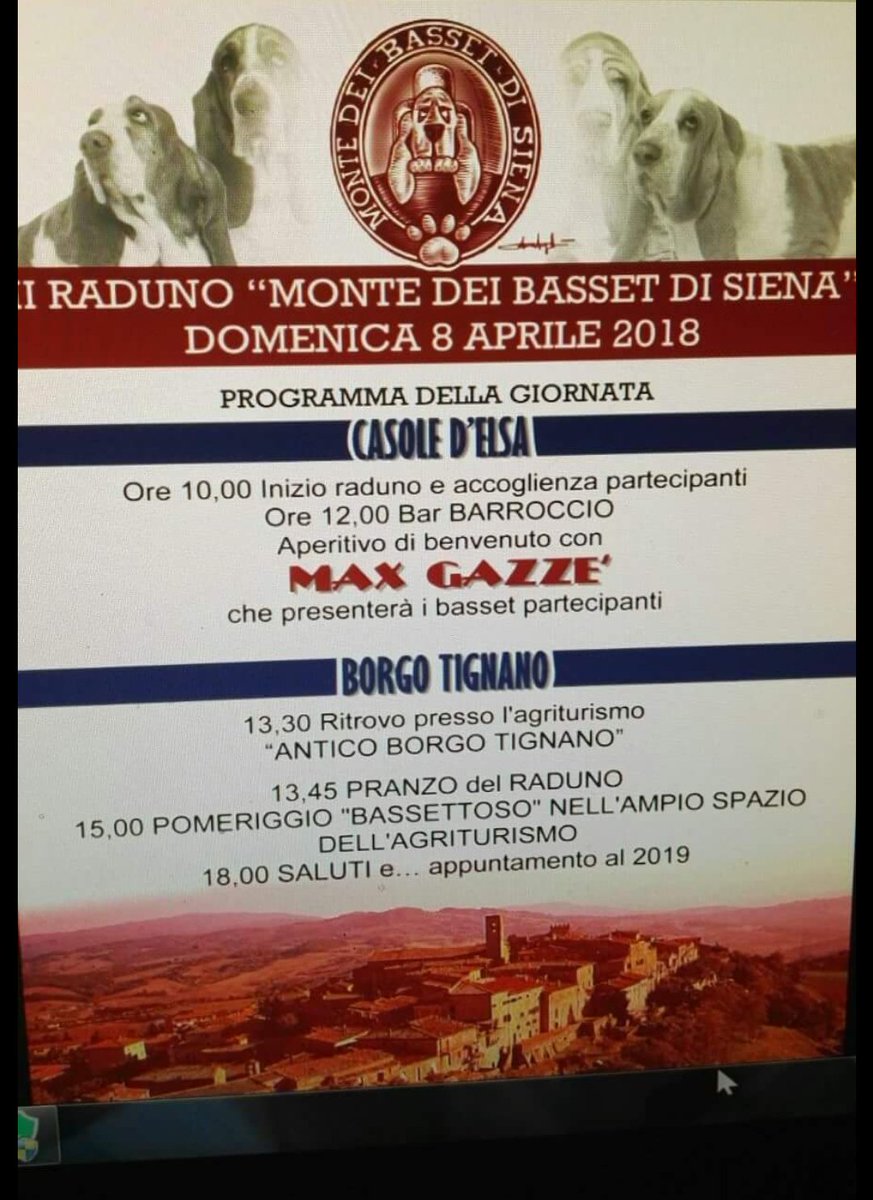 comunecasole's tweet photo. Bassett Hound a Casole! Domenica ore 12 in piazza della libertà! https://t.co/3Ad3hXut2K