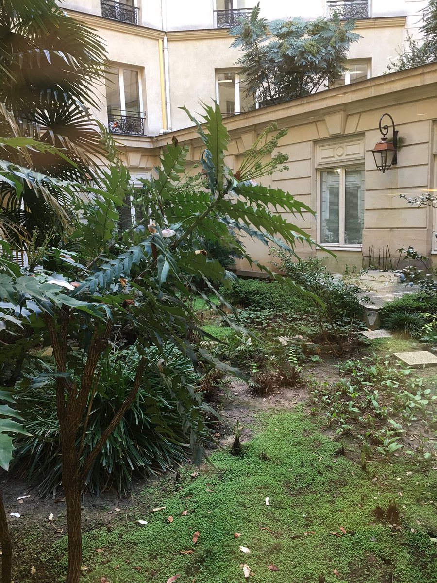 sophieclejan's tweet photo. Accueil chaleureux dans les locaux de @NespressoFR avec nos amis de @ParlonsRH pour la conférence de presse https://t.co/8nUFY7L4Pi