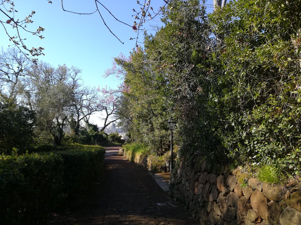 EnteRomaNatura's tweet photo. Buongiorno! #RNMonteMario #RomaNatura @RegioneLazio https://t.co/cF8dsydI12