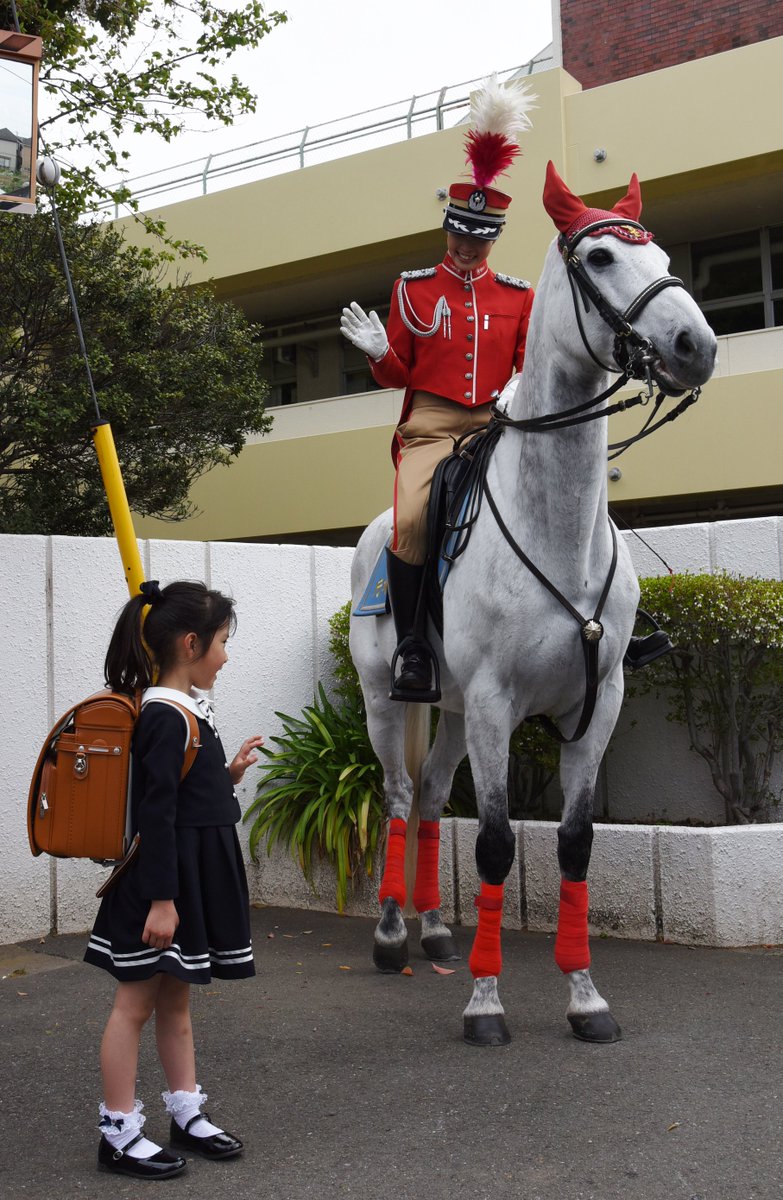 ふちゅこま En Twitter ヒヒ ン 東京２０２０オリンピック パラリンピックの開催準備のため 警視庁騎馬隊が東京競馬場に来ているこま これがご縁で 今日から八小の通学路で登校するみんなを見守ってくれるこま ビシッと決まっているお馬さん かっこいいこま