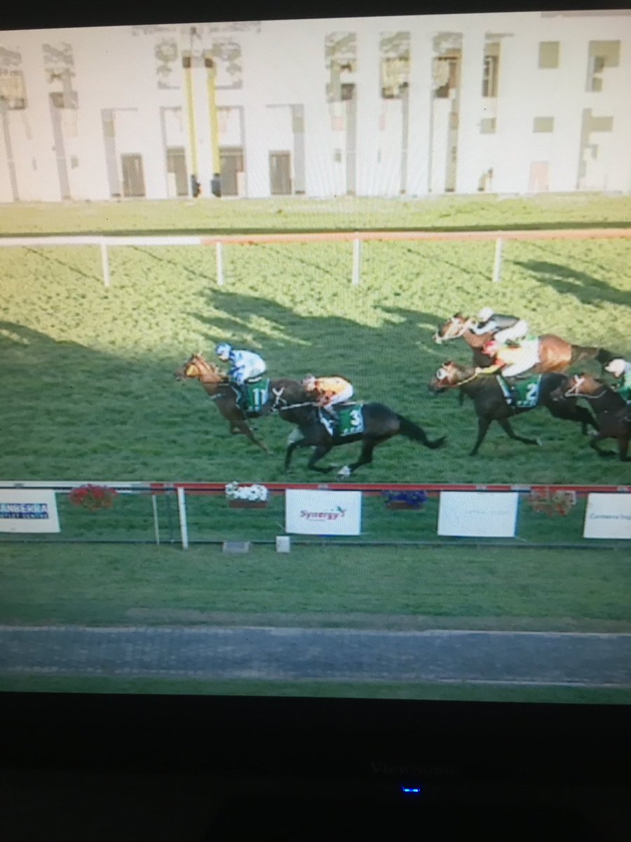 rockyform1's tweet photo. I think I have a new favourite horse #WhosKnocking @Punters https://t.co/p2mRhIEisH