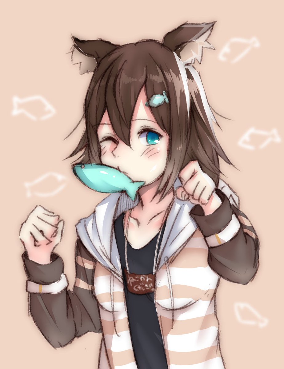 野良猫ちゃんいつも配信ありがどう!ということでこれからも頑張れ～
#のらねっこあら 