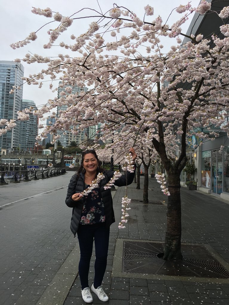 rax_kikay's tweet photo. Cherry Blossoms in Vancouver 🇨🇦 #hellospring https://t.co/UrmnqsRmqs