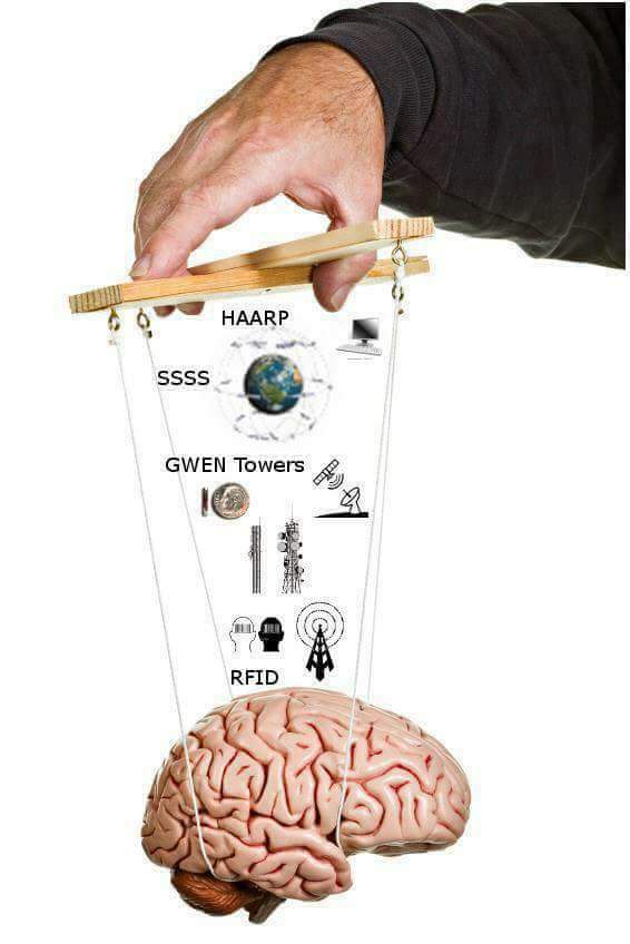 visual attention and cortical circuits