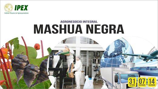 MacaPowderBenef's tweet image. AGRONEGOCIO INTEGRAL DE LA MASHUA NEGRA
#Superfoods #MacaPowderBenefits #MacaRoot
Read more: bitly.com/benefitsmaca