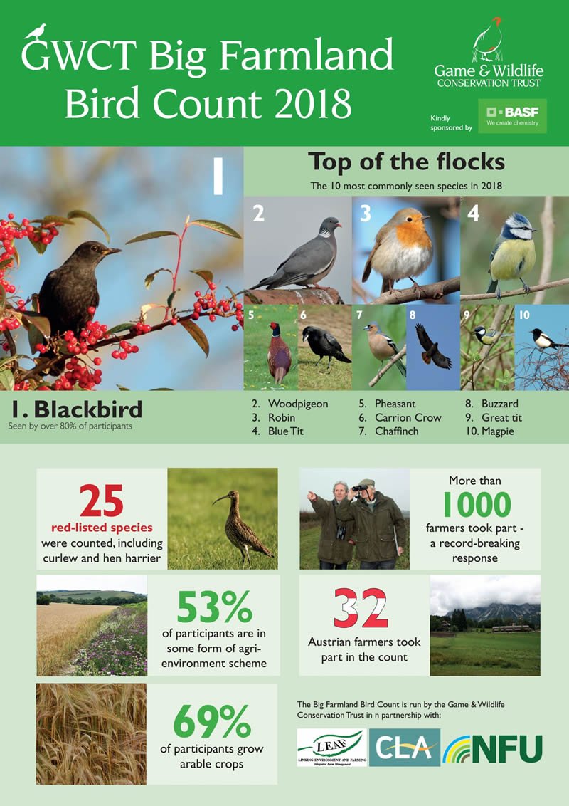 Gameandwildlife's tweet photo. The 2018 Big Farmland Bird Count results are out now - view them here: https://t.co/WBSvOYDcW3 #BFBC

@NFUtweets @CLAtweets @BASF @LEAF_Farming @FarmingUK @FarmersWeekly @FarmersGuardian @BBCFarmingToday @blackgull @CountrymansW @ShootingTimes https://t.co/3NVRLpIhLG