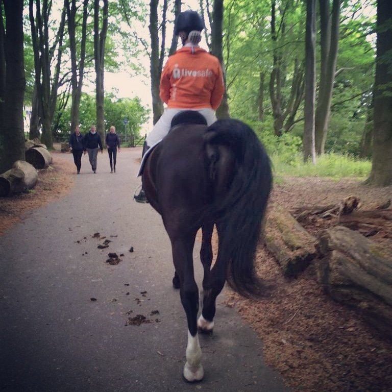 LiveSafe tweet media