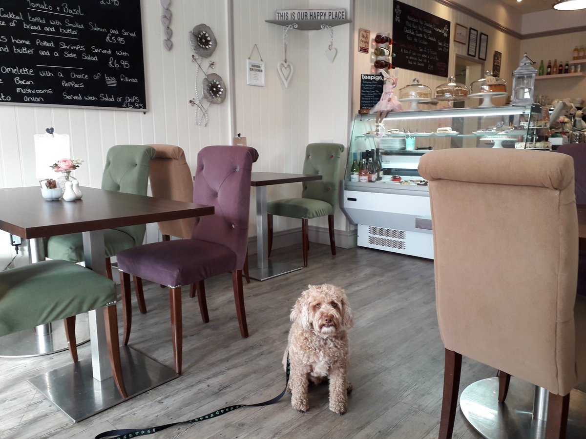 Look forward to visit to #Lytham #dogfriendly <a href="/Bijouoflytham/">Bijou of Lytham</a> this w/end.warm welcome last time for Archie #cockapoo...great coffee too!