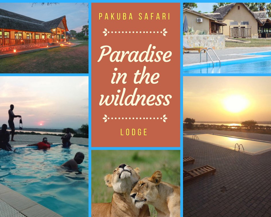 Pakuba Safari lodge tweet media