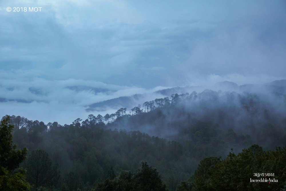 incredibleindia's tweet photo. 2000 acres of oak and deodar forests, mist-covered hills, and an awesome climate. Enough to bring out the photographer in you! #CloudsEnd #Mussoorie #Uttarakhand https://t.co/tfO4qu5QED