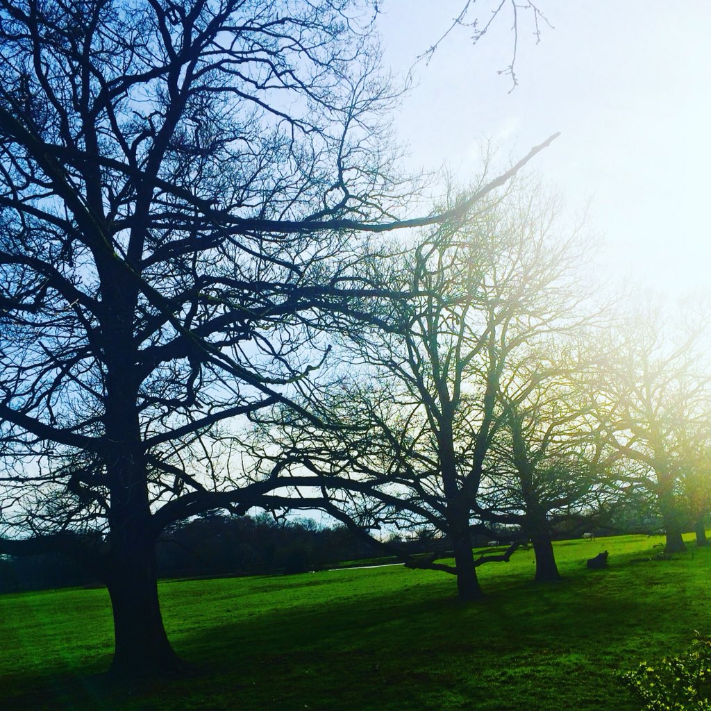 Enjoy the #beautiful #surroundings of @OsterleyNT and practice #chairbasedyoga with me Kelly on behalf of @OneYouHounslow today in the study base 11am -12pm for £2
Only 💖💖💖 lets #move and #breathe together #mindfulness #happiness #NationalWalkingDay