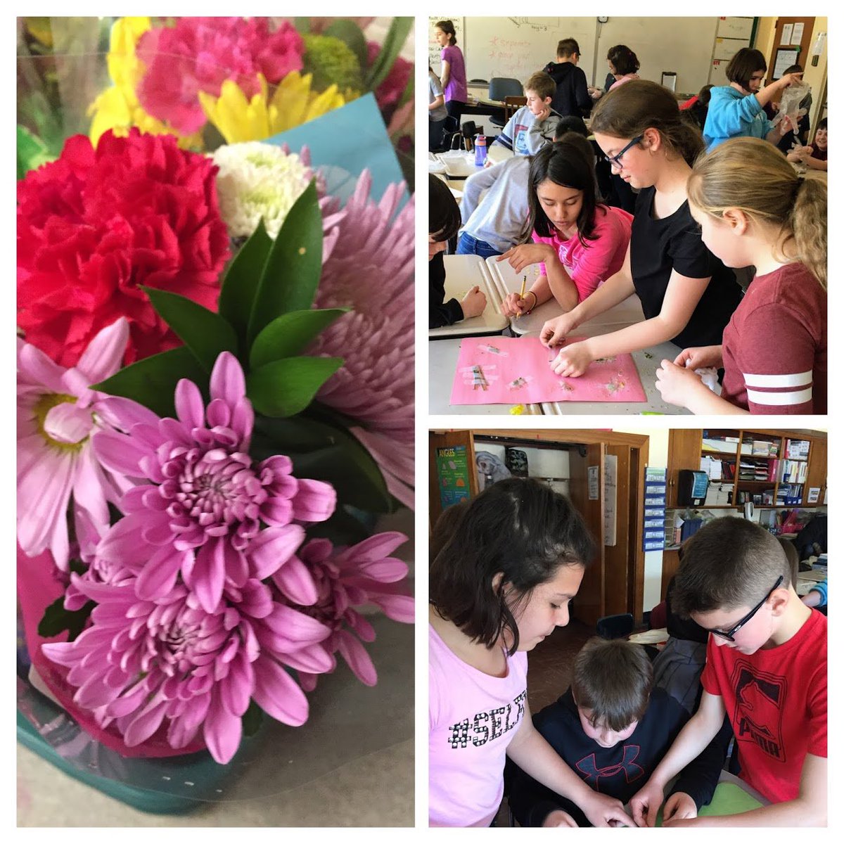 VBushLLL's tweet photo. Having fun exploring the structure of flowers! https://t.co/W5RcWwPwtT