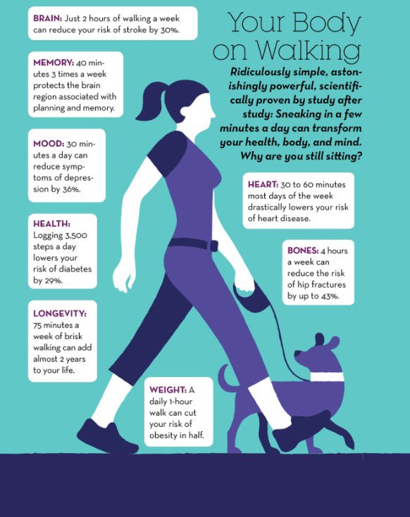 DrMarkRowe's tweet photo. Today, Get out and walk if you can. #NationalWalkingDay #health #WalkToWorkDay #FridayFeeling #lifestylemedicine https://t.co/aGDZrkycWr