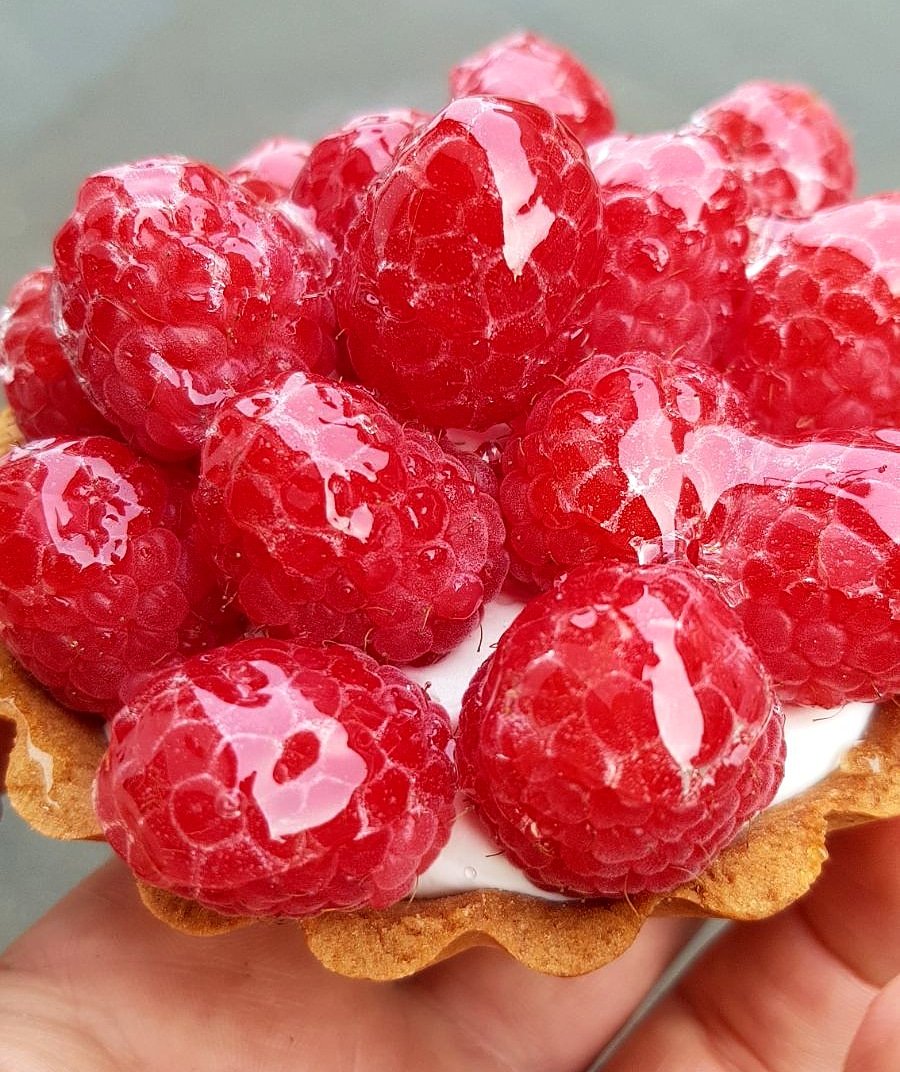 vdeliciouscake's tweet photo. Mid morning treat ππ
RaspberryTart #vegan
.
.
.
#veganfoodsare #vegan #bakedpastries #plantbase #whatveganseat #happyvegan #vdelicious #vdeli #delicious #nutritious #crueltyfree #coffeetime #teatime
#bakedpastries #plantbase #whatveganseat #happyvegan #vdelicious #vdeli https://t.co/ElvXUftMgs