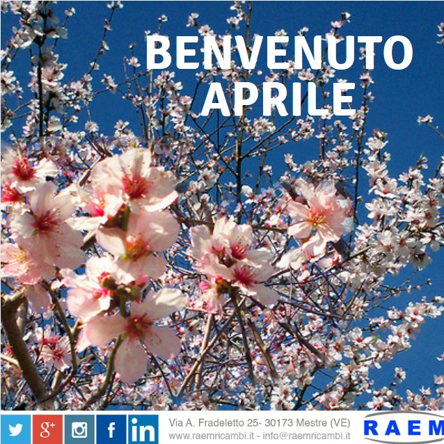 RAEM_MESTRE tweet picture