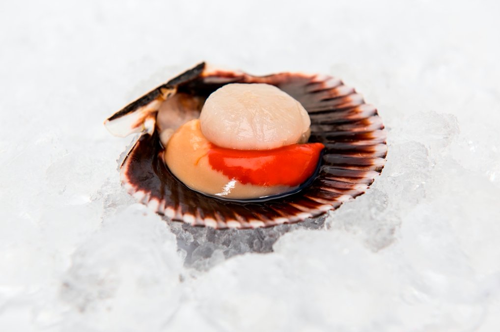 So, by now you should have heard the good news....

Our Devonshire Half Shell Scallops are once again on offer! Be sure to speak with us to find out more!

#ritterfresh