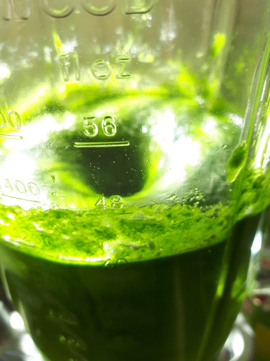 #bärlauch #frühling #frühlingsgenusswoche #genussregion #grm