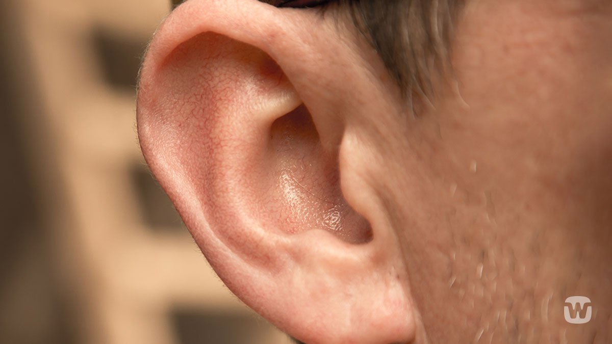 widex's tweet photo. Food for thought! #RealLifehearing #audpeeps #earshape
https://t.co/z2o1G9H2FT https://t.co/8tHqf43ATu