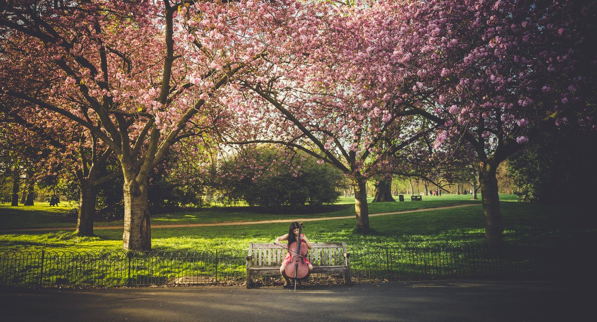 carolacello's tweet photo. Spring is finally here! #cellolove
@RCMLondon @ClassicFM https://t.co/nlQxfuwYPA