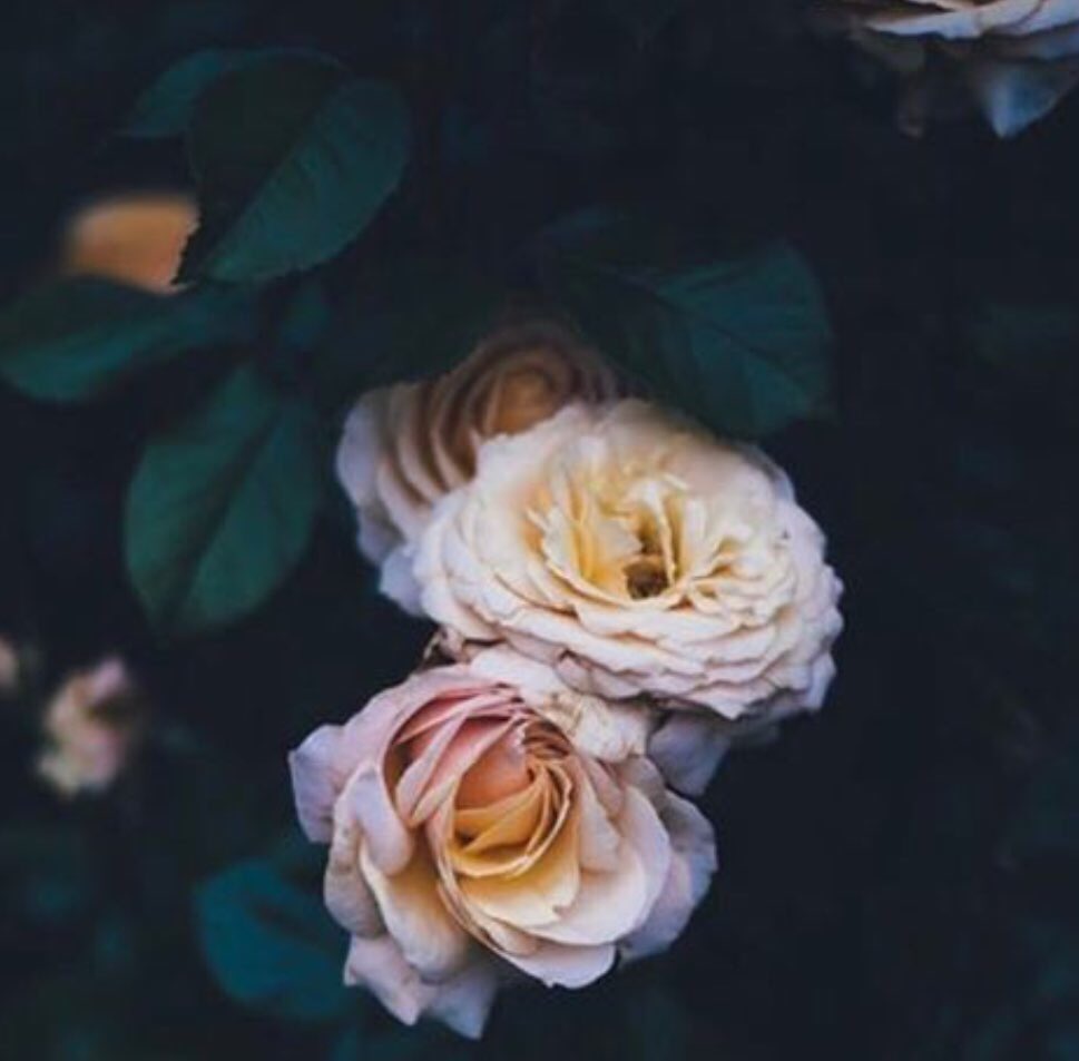 .
.
.
.
.
.
"اللهُم بعرض السّماء وإمتدادُها أرزقنا راحة بال ويقين بأن كل ما ندعُوا به سيأتينا ولو بعد حين 💜✨”