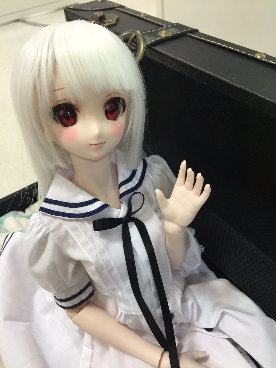 ドールを何に入れて持ち出してる