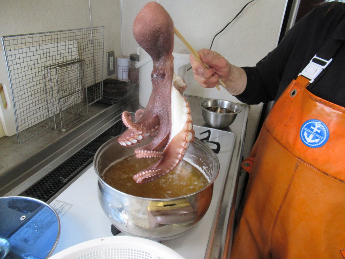 高田サンコ 海めし３ 明石のタコ 私 タコは今までおいしいとしか思ったことなかったんだけども ゥウマァァアアア ってなりました プッリンップッリンはじける吸盤 あじしおふったのですか というほどのわッかりやすいうま味 マダコ