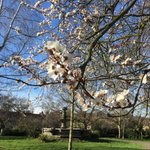 Photo by Crouch End Kindival (@CKindival)