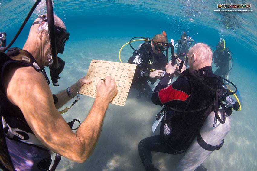 divedownbelow's tweet photo. @PADI #IDC coming soon at @divedownbelow! We can't wait to get started with our #GoPro candidates & it will awesome fun for everybody including our #GoProTeam! There's still time to register, come & join us this 9 April 2018! https://t.co/u2OC3bCUDG https://t.co/OJCkcCrjUP