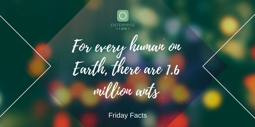LDN_Enterprise's tweet photo. #fridayfact https://t.co/yMy8gjBYcz