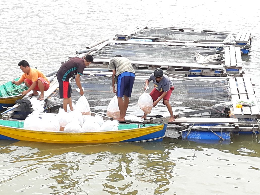 Luhkan_SKW's tweet photo. Penebaran bibit nila.
Pokdakan Mina Kitang Mandiri.
Jumlah 16.320 ekor.
Penyuluh Wil Singkawang selatan, 
Kota Singkawang
@mzulficar @BRSDM_bp3tegal @fisheris_ @puslatluhkp @brsdm_kp @mina_indonesia 
#aksippb https://t.co/iExTAsj53S