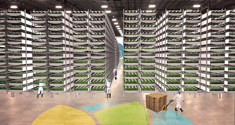 SEEDSandCHIPS's tweet photo. Plants x Data Science: phenomics and the future of #IndoorAgriculture https://t.co/9IHdllHOA1  @Medium #AgTech #VerticalFarming #UrbanFarming #CEA https://t.co/93eF5Bps2B