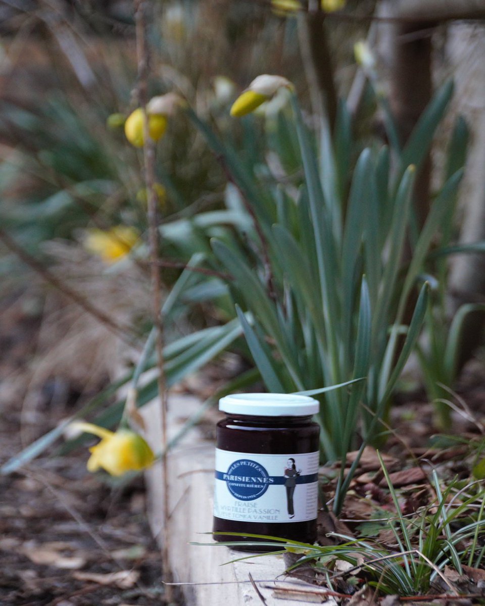 lppandresy's tweet photo. Ah si seulement la recette de Chef #lespetitesparisiennesconfiturieres poussait dans vos jardins !
Pssit elle est sur Amazon ;)
#confiturelocale #madeinparis #iledefrance #tartinesfrançaises #jamaddict#frenchfood #meilleureconfiture #made_in_france #madeinfrance #jam #breakfast https://t.co/ZxRcjKkRnc
