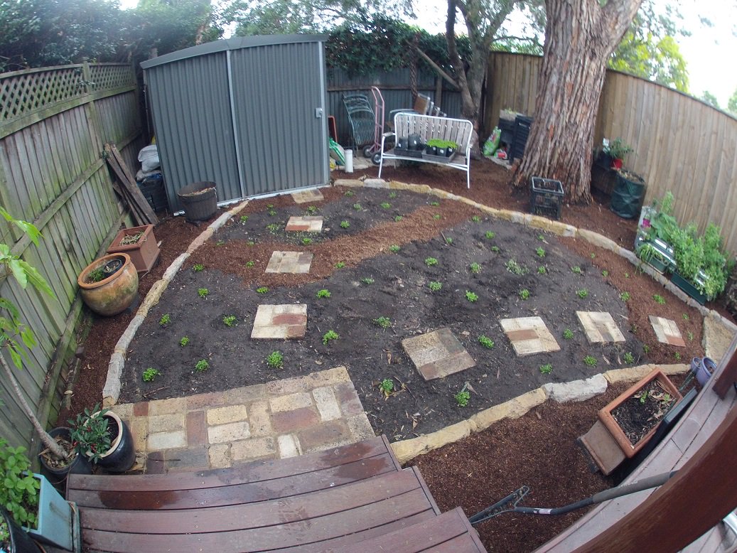 capebanks's tweet photo. Recycled common bricks, Sydney sandstone and Dichondra repens (Kidney weed - trust the English to call an native a weed!) as ground cover. #CapeBanksLandscaping #StructuralLandscaping #Design #Commonsense https://t.co/qbOA9GpspJ