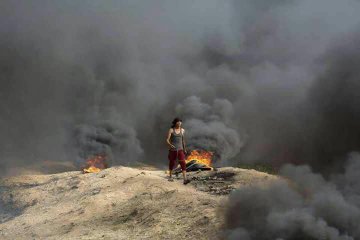 عرض الصورة على تويتر