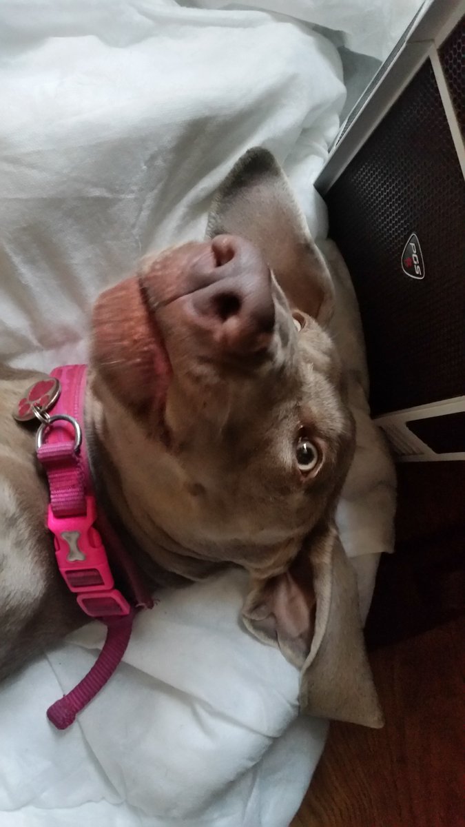 Samantha Plays tweet media