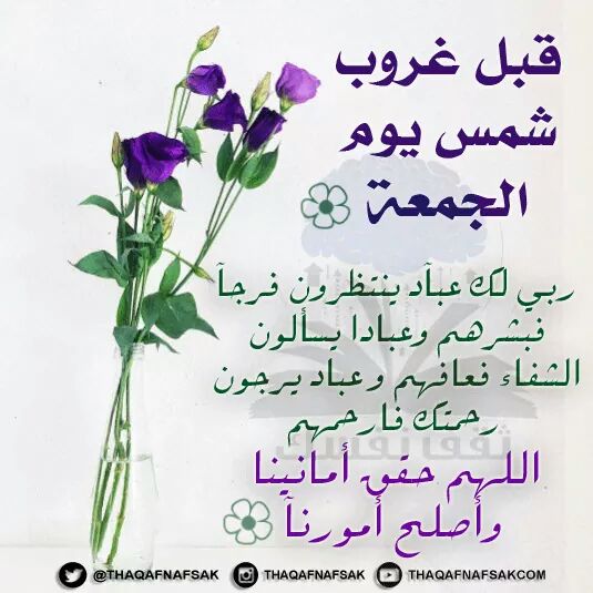 mahmoud saleh (@mahmoud1976516) on Twitter photo 