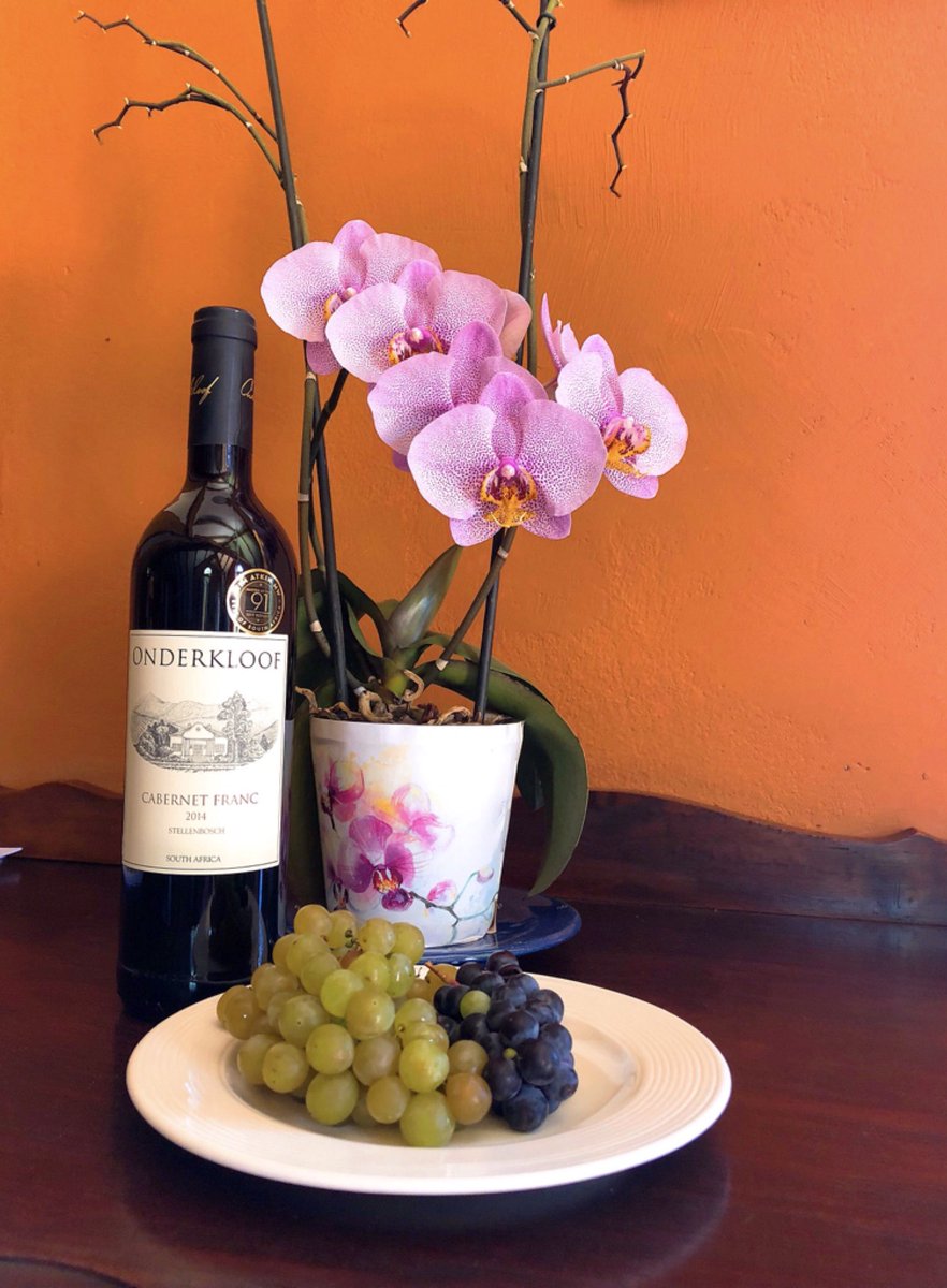ScrupulousDuo's tweet photo. 🌟[NEW BLOG POST]🌟

Onderkloof Estate - What a gem!

📝 Read all about Onderkloof on our ScrupulousDuo website:
https://t.co/Z7oaKR5Kus

#OnderkloofWine #Somerset #winetasting #wineblogger #discoversawine #visitHelderberg #capetown #scrupulousduo https://t.co/YLVKHElikQ