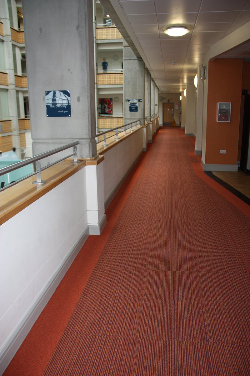 We hope you are looking forward to coming back after the Easter break 🐰 🐣

We've been installing some fresh new carpets in some of the corridors, what do you think?