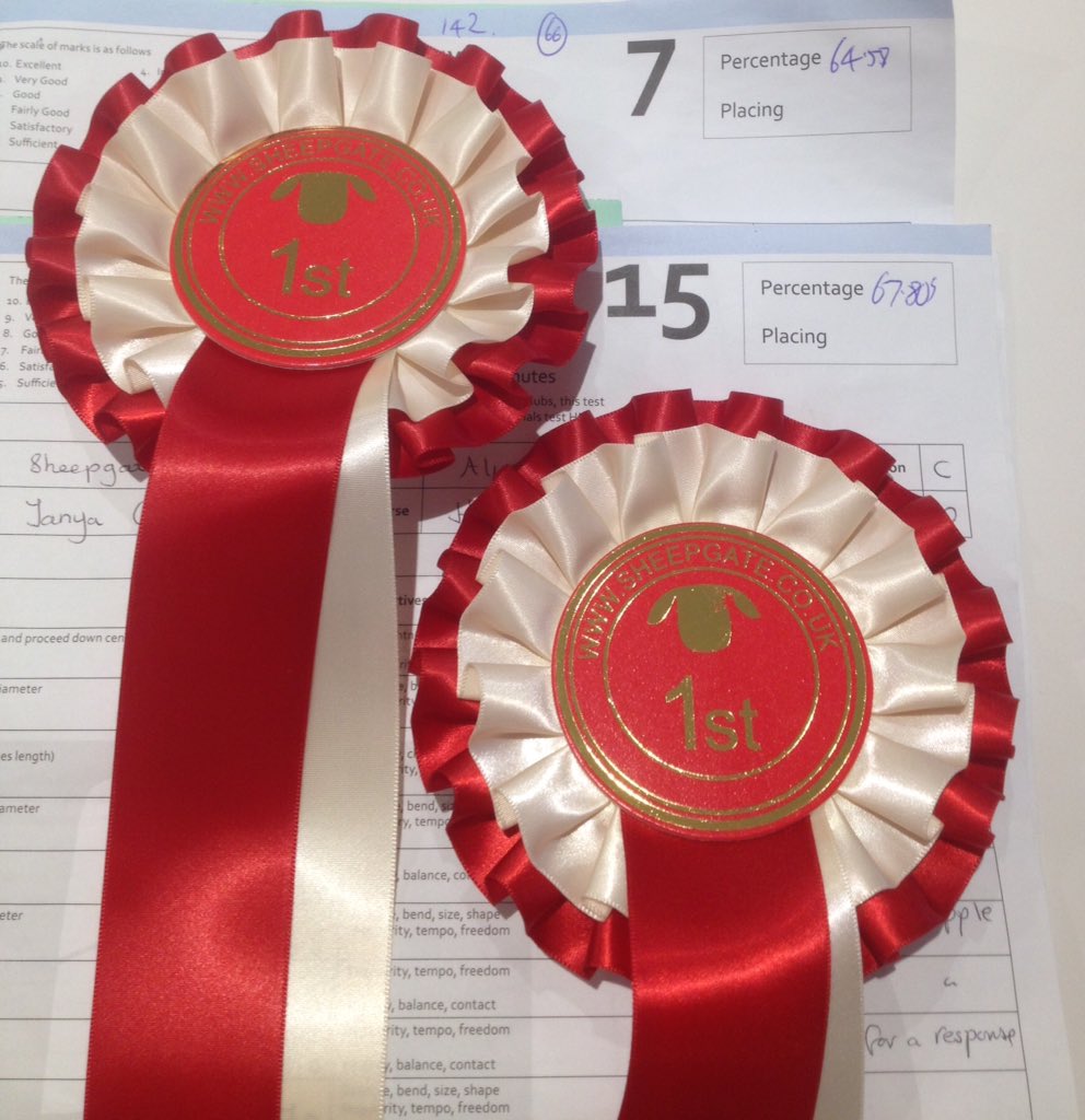 Pintsizepone's tweet photo. Highfox Destiny made her outdoor prelim debut @SheepgateEC on a wet bank holiday Monday with fab results! #nfpony #dressagediva https://t.co/89IJ9HZkcl