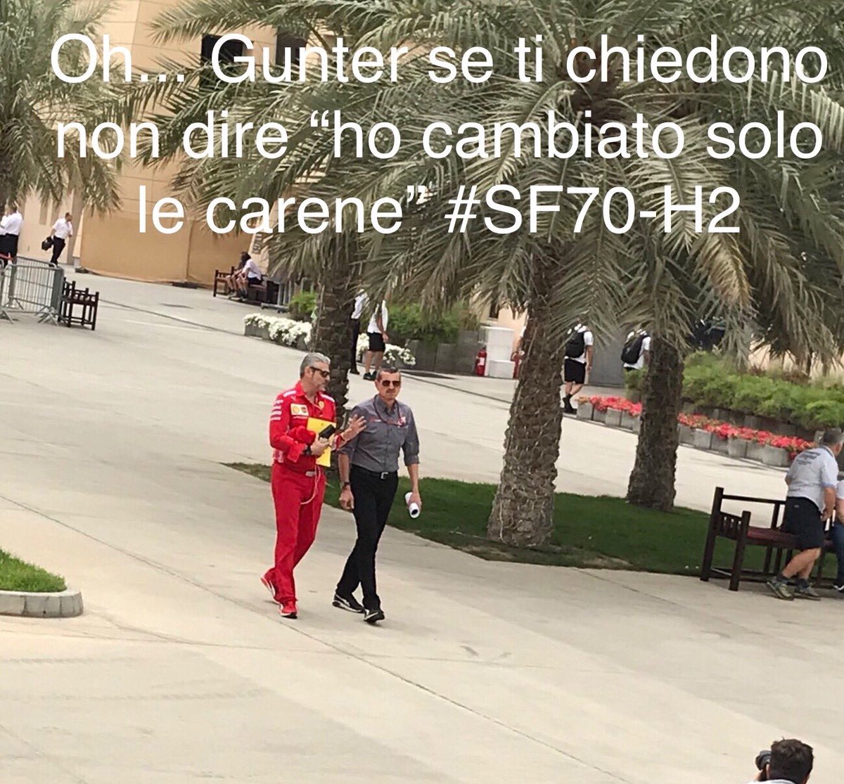 SinTenza_'s tweet photo. Intanto in Bahrain 🇧🇭 #formulameme https://t.co/bnkuVNFdsA