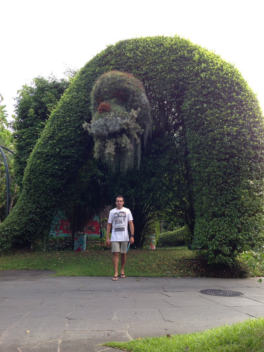 Just finished my 2nd presentation at #BILTasia @BILTevent and I've got the monkey off my back. Inspirational feed back for an attendee "you just solved my 3 years of research."