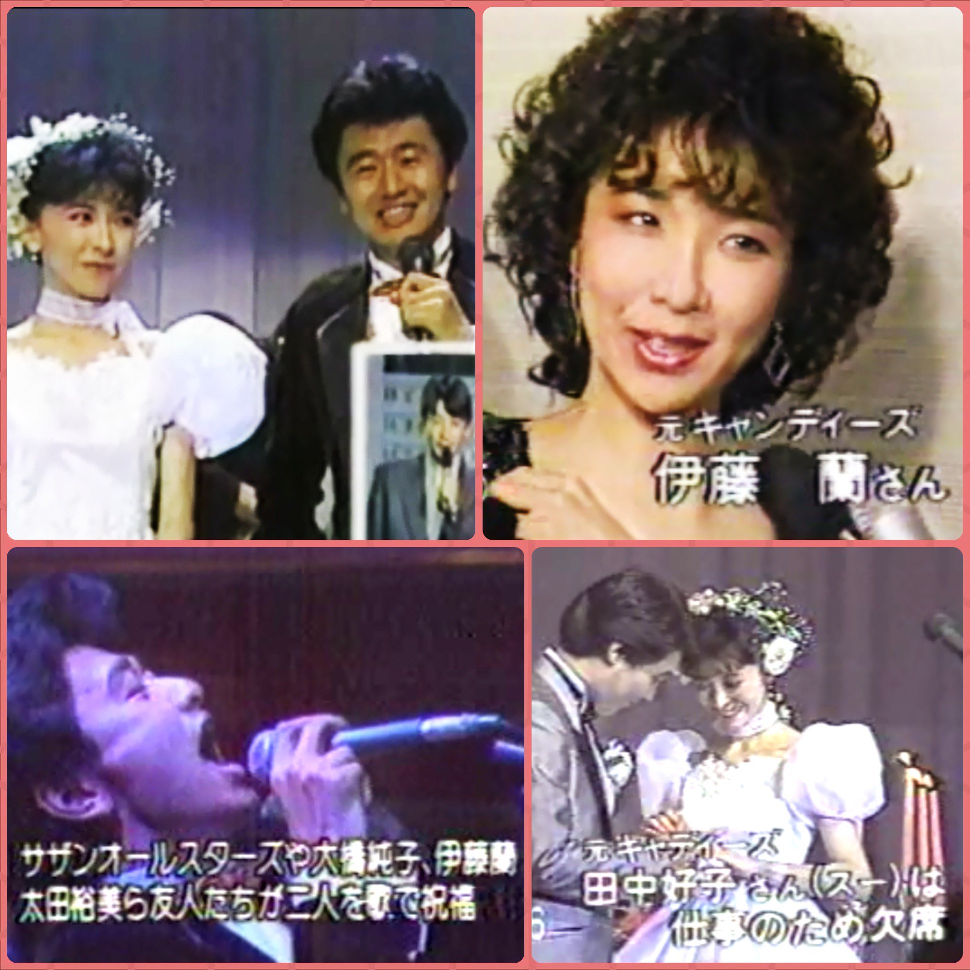 あかぱん キャンディーズ レトロ昭和歌謡 元キャンディーズ 藤村美樹 ちゃんの 結婚式 伊藤蘭 サザンオールスターズ 太田裕美さんらが出席 スーちゃんこと田中好子さんがお仕事で欠席 元キャンディーズの三人が揃うことはなかった 桑田佳祐