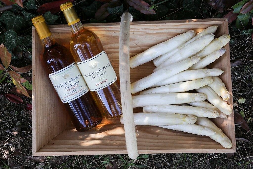 chateau_fargues's tweet photo. Avec quoi boire du #Sauternes ?  Accord parfait Château de Fargues et  #asperge blanche  
💡d'entrée printanière: flan d'asperges sauce morilles et jambon belotta ... servi avec un millésime 2005 
#asperges #asparagus #winelover #foodlover #notadessertwine #Bordeaux #goldwine https://t.co/YpchXtMSbZ
