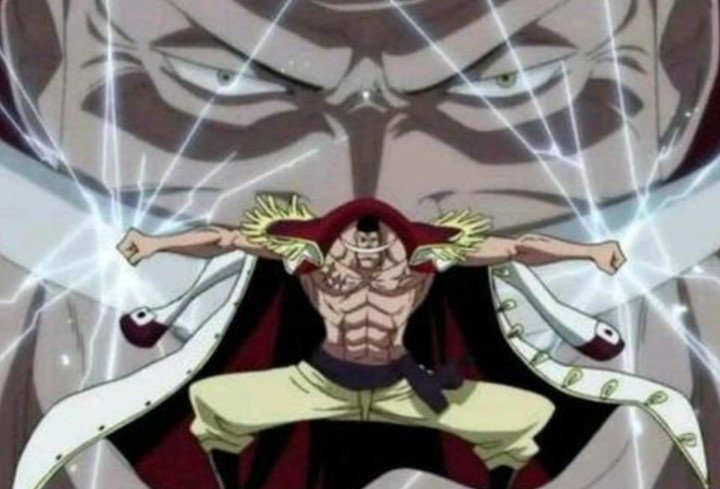 白ひげ誕生日 Twitter Search Twitter