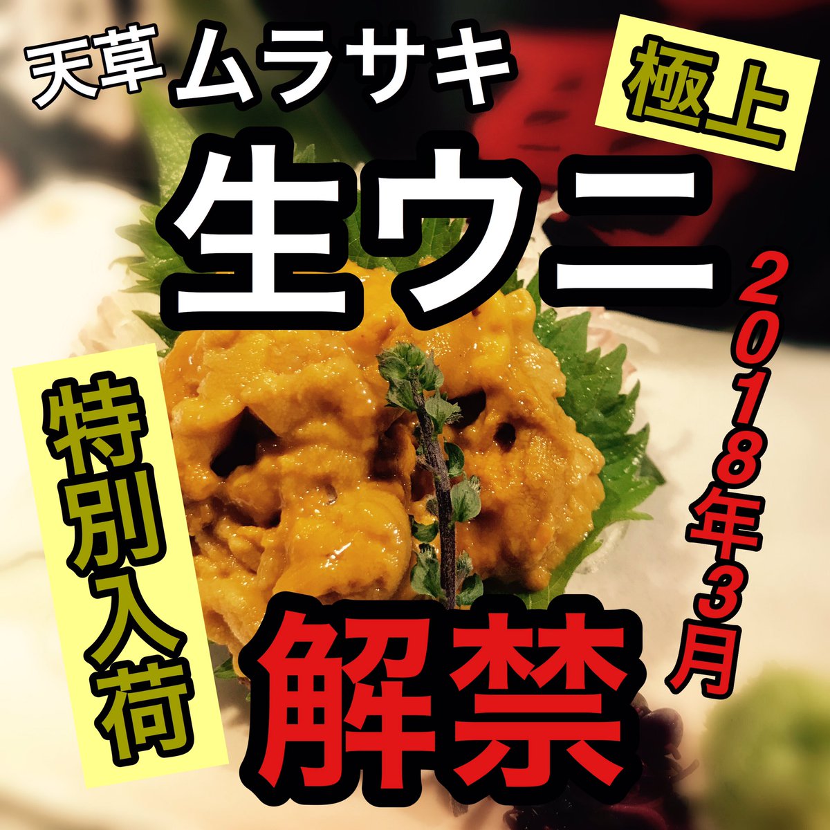 九州天草居酒屋みこと立川店 天草から入荷した極上のムラサキウニ 今季最高品を超特価限定にてご提供 天草 ムラサキウニ 雲丹 天草ウニ 極上 海鮮 東京 立川 立川居酒屋 立川南口 九州 居酒屋 美味しい 産直 美味い 損なし 来たら